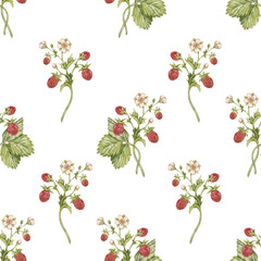 Watercolor seamless pattern with vintage strawberry branch with berries, leaves and flowers. Isolated on white.