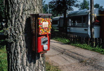 Chewing gum machine at tree.