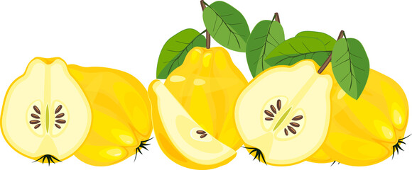Yellow quince fruits (whole and half cut) with green leaves isolated on white background