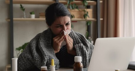 Indian businesswoman sit at workplace wrapped in warm plaid, blow runny nose in paper tissue, hard to breathe feels unhealthy look sick, meds on desk. Seasonal grippe, employee need sick leave concept