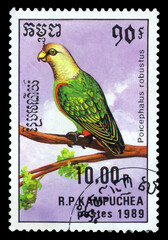 Postage stamp.  Bird  Cape parrot.