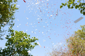 Celebration in the park