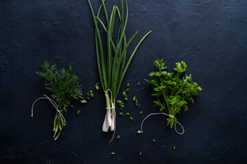 Fresh parsley, dill, green onion on dark background. Organic local food