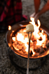 roasting marshmallows over the camp fire 