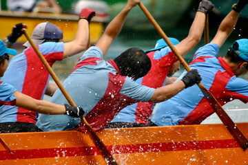 dragon boat paddlers in the catch