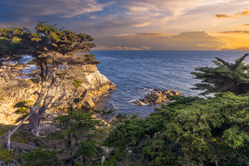 Coastline at the Monterey complex in the United States.