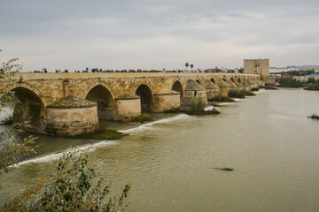 Fototapeta premium The Roman bridge in Cordoba over the Guadalquivir river.