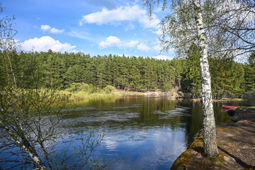 Fototapeta na wymiar Forest river in May.