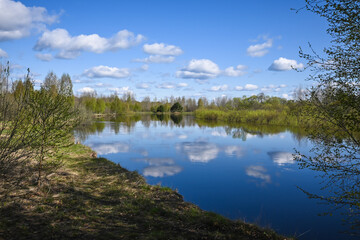 Forest river in May.