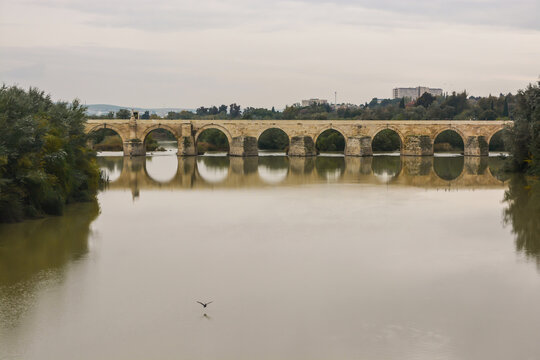 The Roman bridge in Cordoba over the Guadalquivir river.
