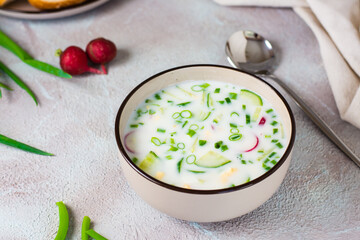 Ready to eat traditional Russian cold soup in a bowl. Homemade food.