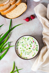 Appetizing traditional Russian cold soup with vegetables and kefir in a bowl. Top and vertical view