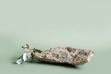 Natural gray stone stand for presentation and exhibitions on pastel green background. Abstract podium for organic cosmetic products with green leaves. Minimal style. Selective focus