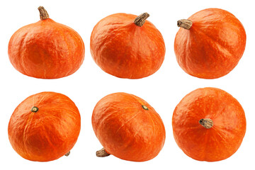 Pumpkin isolated on white background, clipping path, full depth of field