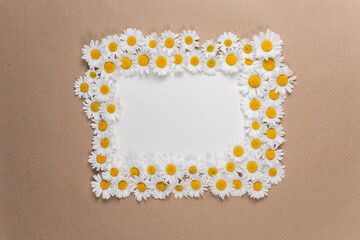 Kamile auf natürlichen Hintergrund, Daisy mit Rahmen und Copy Space