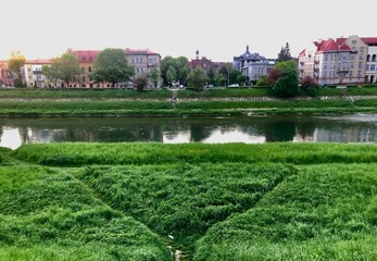 San river embankment, Przemysl, Poland. In summer it is very nice to walk on it among the flowering bushes and in the shade of green trees above the old houses. - obrazy, fototapety, plakaty