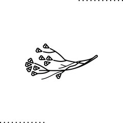 Limonium vector graphic isolated on white