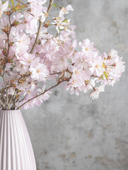 Pink Sakura blossom