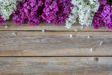 Colorful lilac flowers on a wooden background