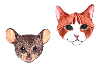Red cat and brown mouse isolated on background