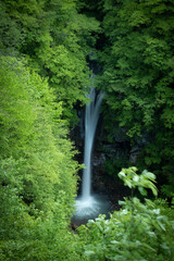 waterfall in the forest