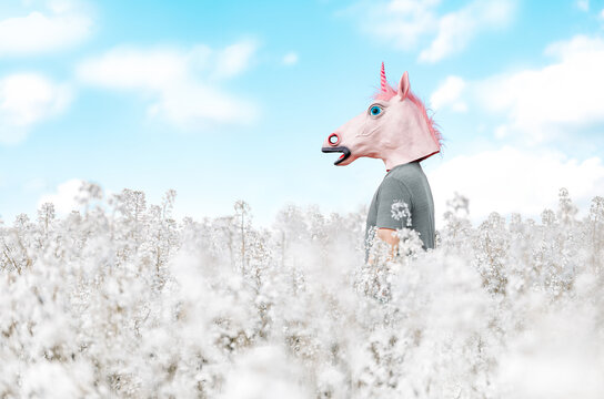 Man In Unicorn Mask In Blooming Field