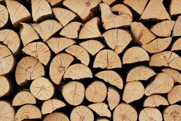 Fototapeta premium Stack of firewood, Natural texture of chopped wood, minimalistic natural wallpaper, blank background.