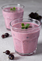 Natural yogurt with black currant in two glass on light gray background
