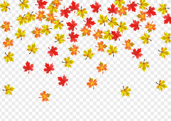 Colorful Foliage Background Transparent Vector. Floral Nature Illustration. Yellow Decoration Plant. Flying Leaf Frame.