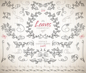 Floral decorative elements set. Leaves and branches in isolated vector