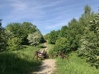 Obraz premium Wooden bridges and steps in the area of the Tatar mound among bushes and tall trees are a place for walks and recreation of locals in Przemyl, Poland. 