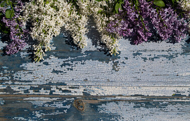 
lilac flowers on wooden background