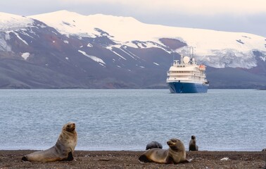 Antarktis Expedition - Expeditionskreuzfahrtschiff im Vulkankrater von  Deception Island - Whalers Bay (S&uuml;d-Shetlandinseln)