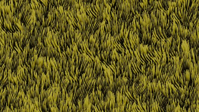 Background of moving wavy lines on surface. Design. Moving waves 3d field of grass or algae. Field of algae or grass with wavy streams