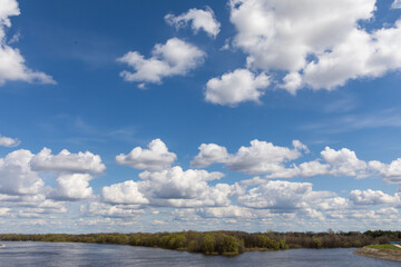 The river overflowed and the forest in the spring. High water.