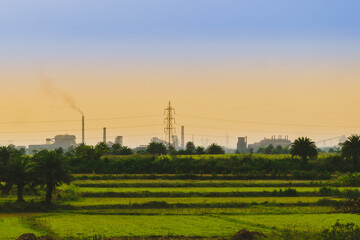 A plant making pollution at green area in the evening.