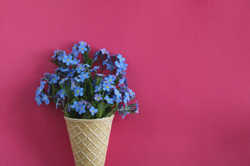 blue forget-me-nots in a waffle cone on a pink background.