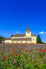 Reichenau, Insel Reichenau, St. Georg, Kirche, Inselrundweg, Felder, Landwirtschaft, Mohnblumen, Oberzell, Bodensee, Untersee, Naturschutz, Uferweg, Sommer, Baden-Württemberg, Deutschland