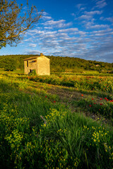 Paysage campagne 1190