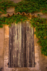 Paysage campagne 1206