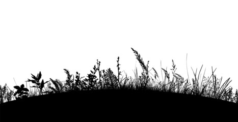 Grass black silhouettes. Vector illustration