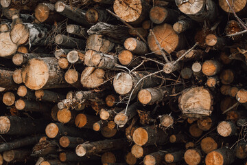 Copper Wood texture. Texture for design and decoration. Dark wood background. Wooden fence. Surface with natural pattern. Space for floor. Abstract texture. Structure.