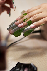 Obraz premium manicurist makes a manicure. The process of creating a quality manicure. Personal care. Beauty industry 