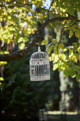 A white birdcage visits the village in the garden. Beautiful cage in the garden with birds