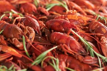 Boiled crayfish with rosemary. Boiled crayfish on the counter for sale at a street food festival.