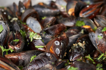shellfish. Fresh mussels in a pan with parsley and lemon. Steamed mussels in white wine sauce