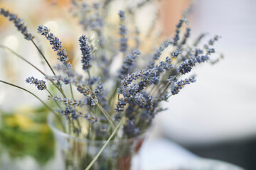 Lavender in a vase in nature. Lavender on a blurred background. Minimalistic, stylish, fashion concept