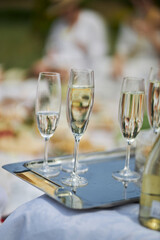 Champagne on a metal tray. Champagne at a picnic 