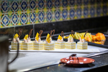 Sponge cakes decorated with cream and chocolate pattern are laid out in a row on marmite.Desserts on the buffet at the hotel.Self-service in a restaurant.Selective focus on mouth-watering mini-cakes