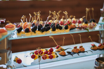 catering. Delicious appetizers canapes. food